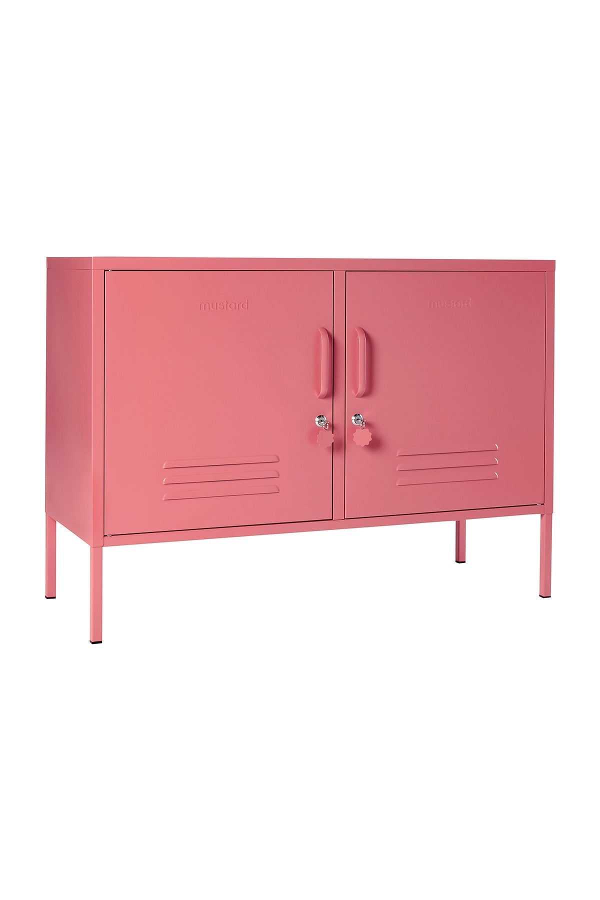 The Lowdown Storage Locker - image 4