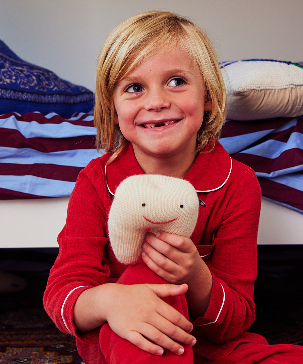 Tooth Fairy Pillow for Lost Teeth