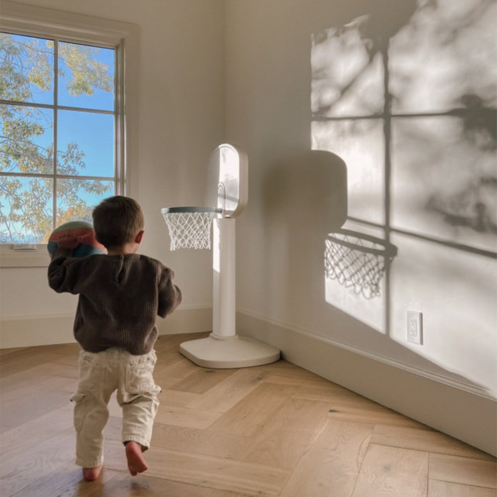 Indoor/Outdoor Basketball Hoop