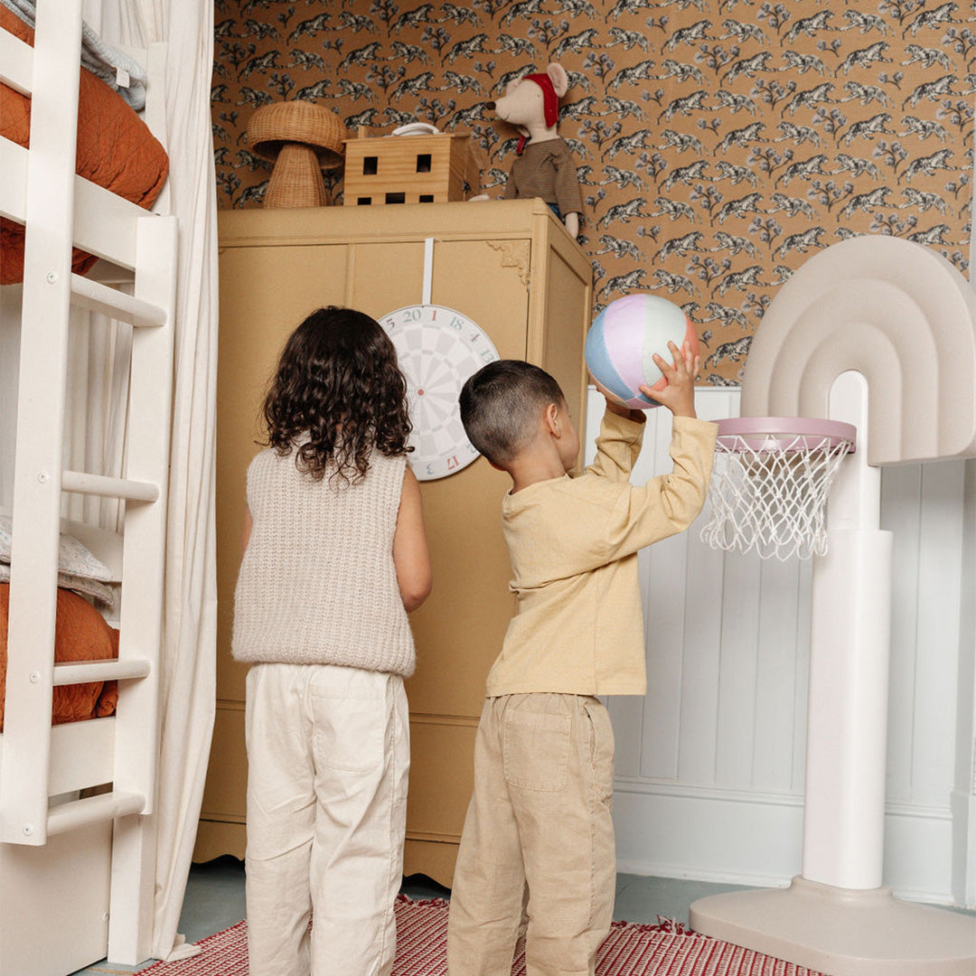 Indoor/Outdoor Basketball Hoop - image 5