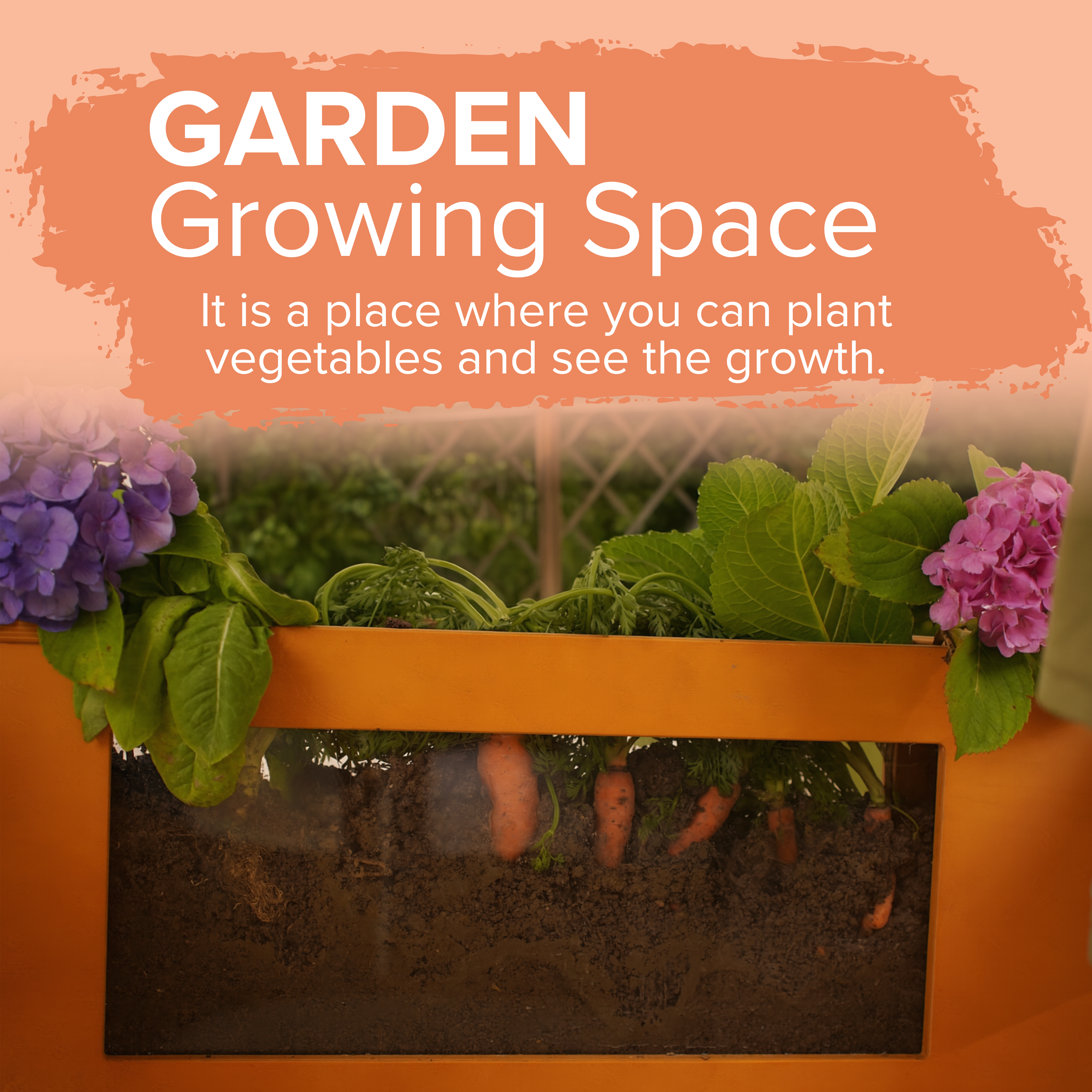 Outdoor Wooden Play Market, Kitchen & Grill Station - image 6