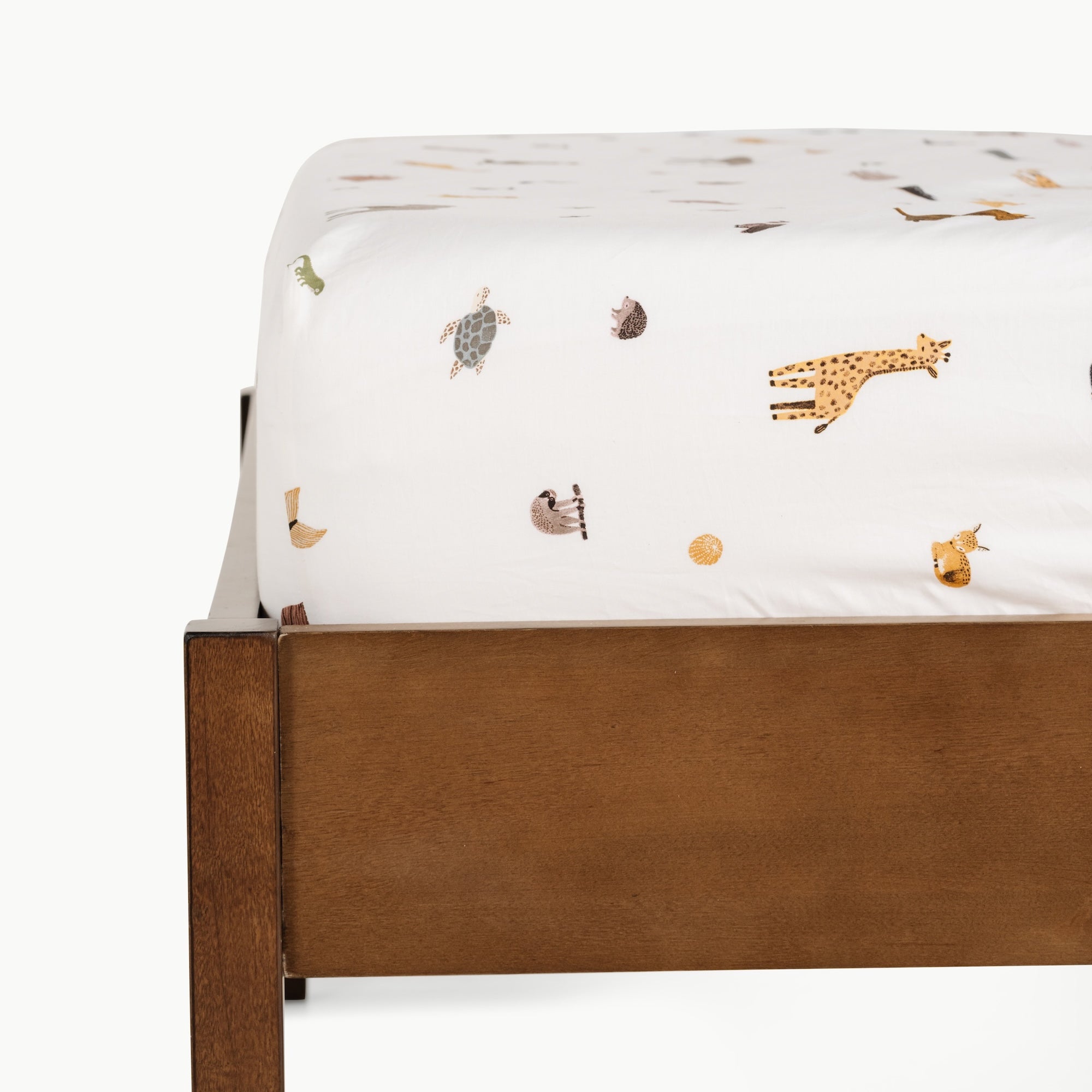 Briar Floral 100% Cotton Sheet Set - image 16