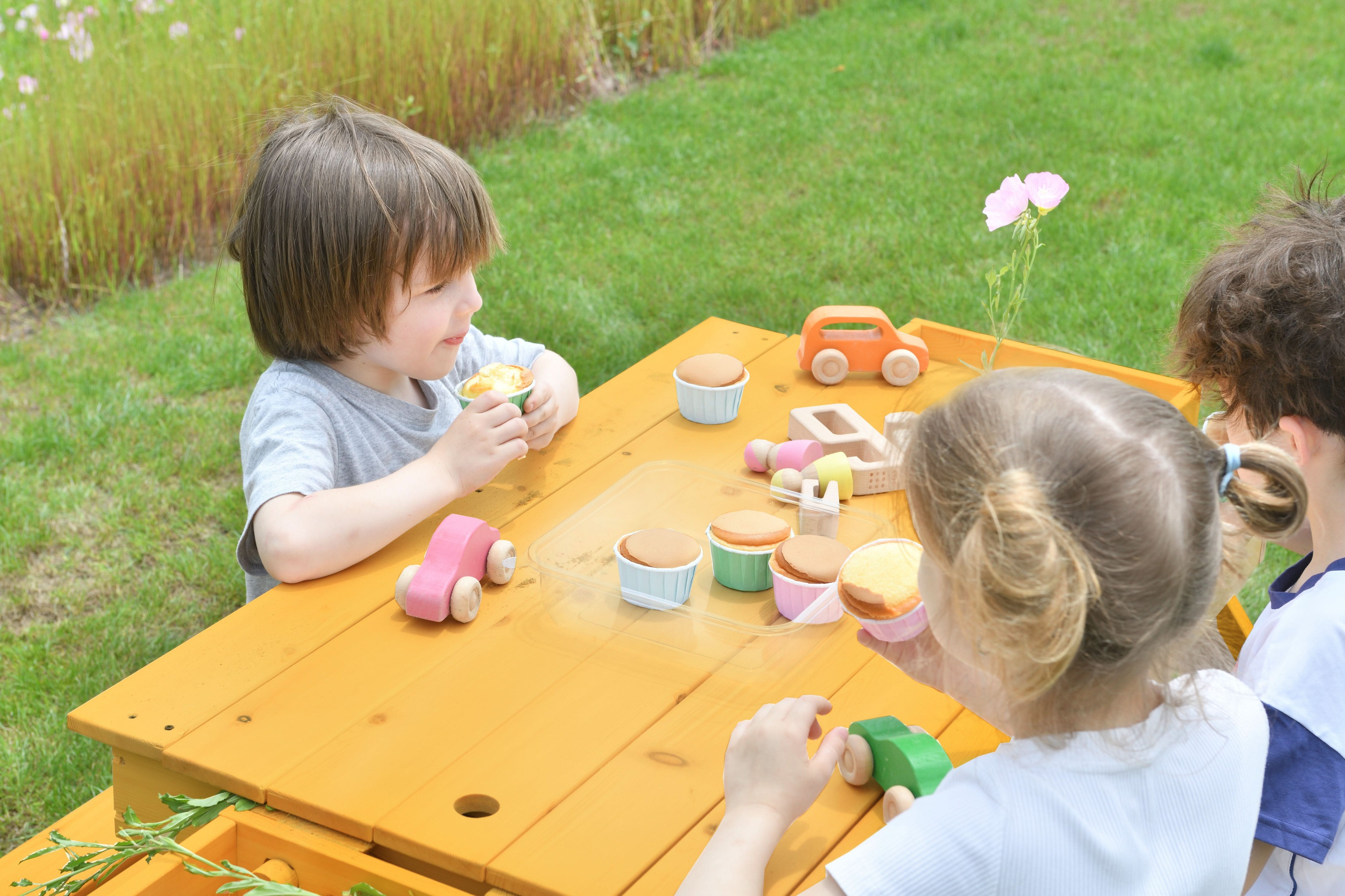 Outdoor Picnic & Sand Table - image 6