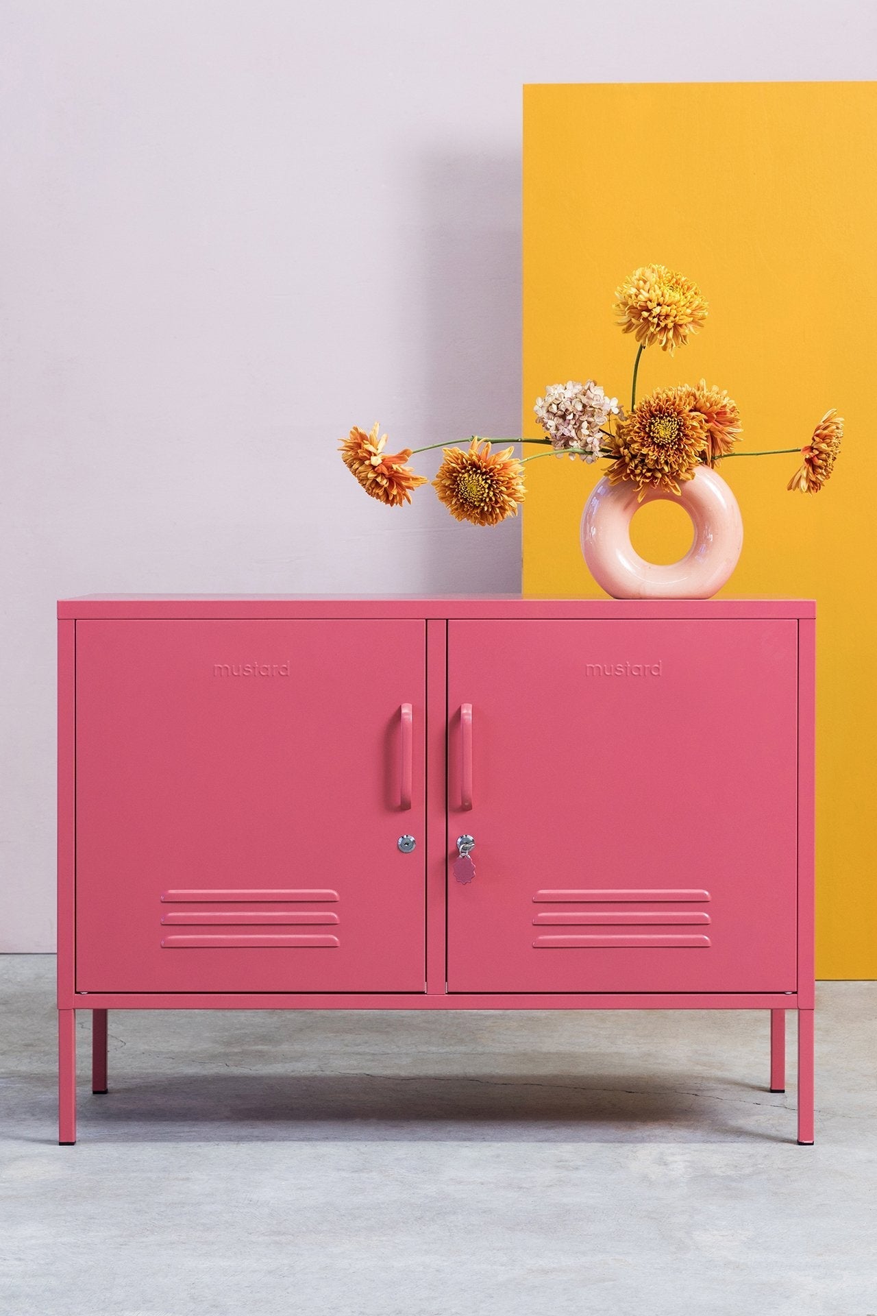 The Lowdown Storage Locker - image 5