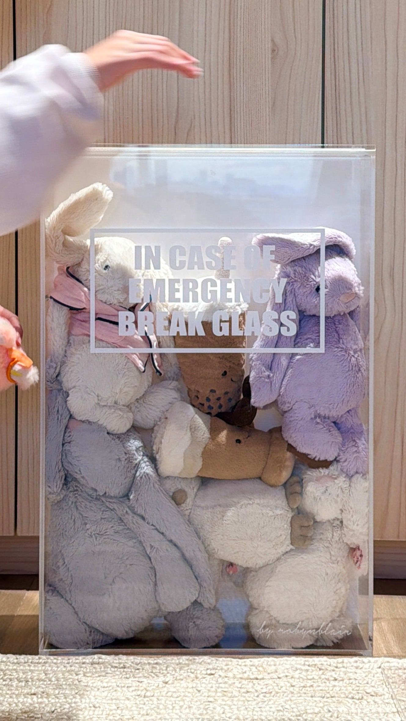 The Joy Vault - Toy Storage Art - image 4