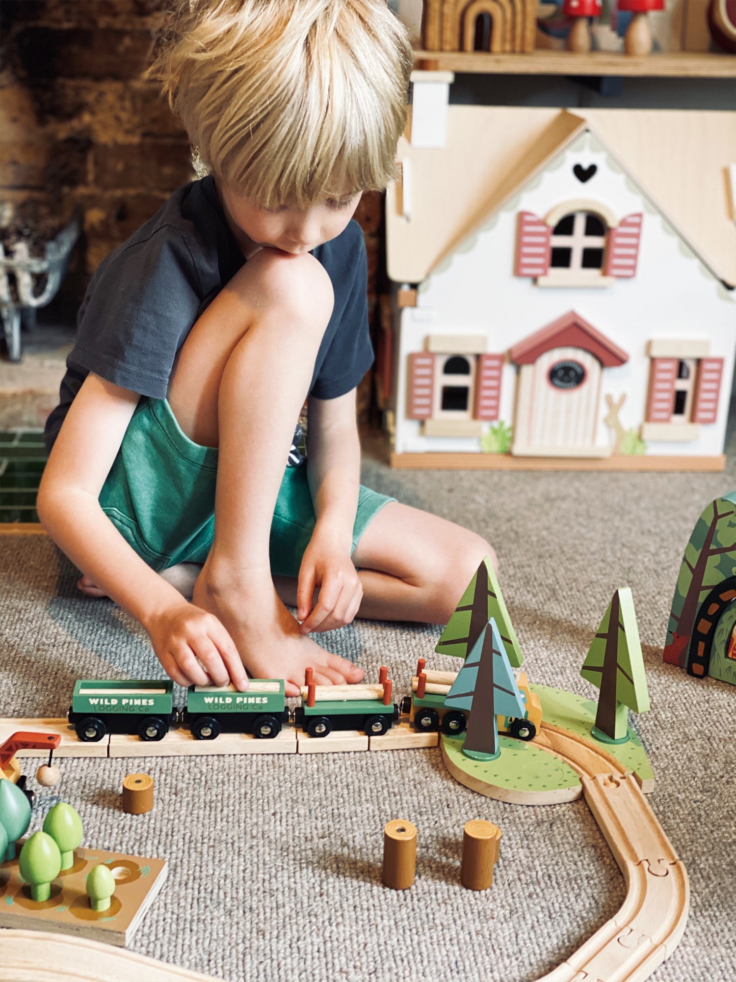Wild Pines Train Set - image 5